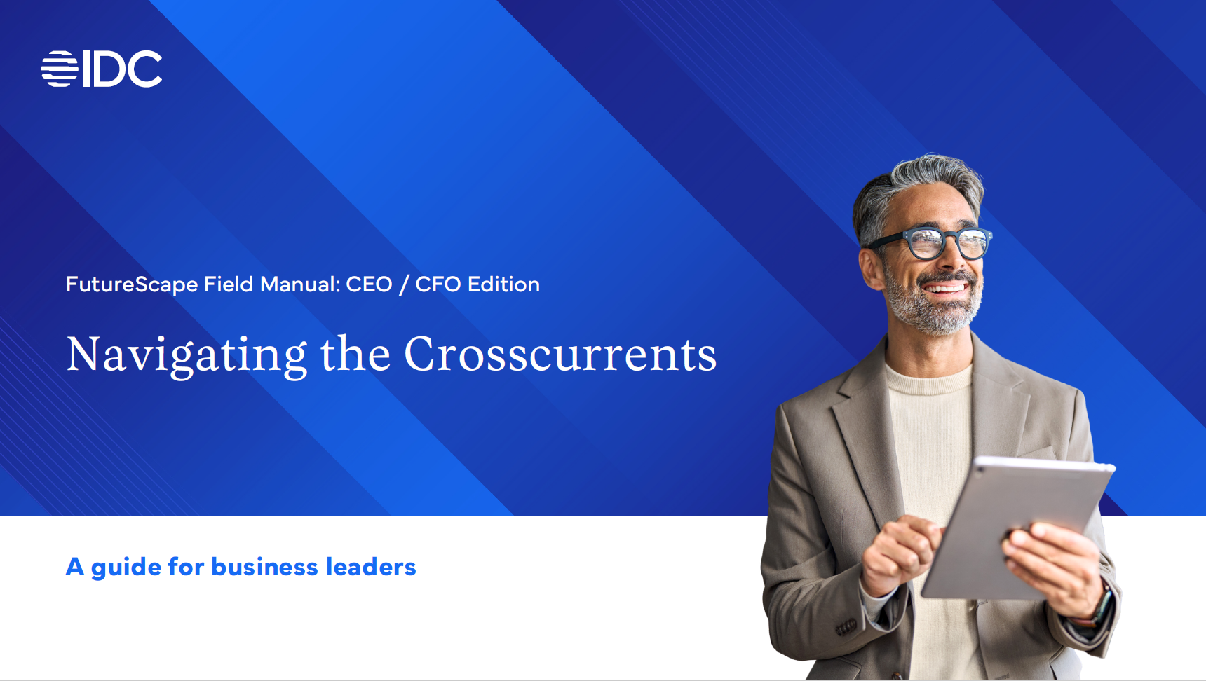 Navigating the Crosscurrents ebook